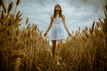 Young blond girl white dress walking in a cornfield