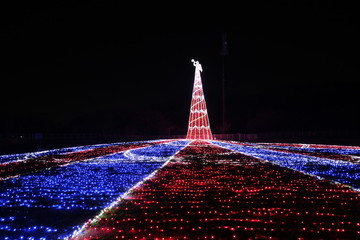 illumination in japan