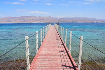 Barrière de Corail Eilat Israël - Coral Reef Eilat Israel