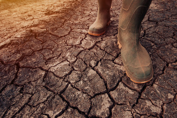 Farmer in rubber boots walking on dry soil ground - obrazy, fototapety, plakaty