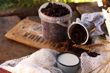  blackberry berries village nature still life milk black food white