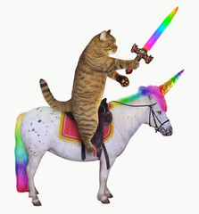 The cat with a rainbow sword is riding the real unicorn. White background. © iridi66
