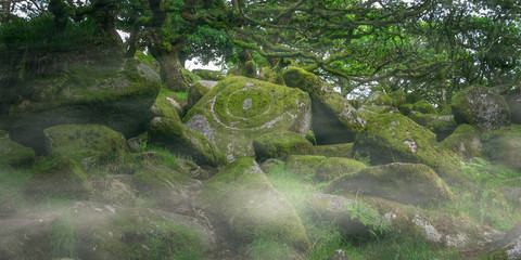 Wistmans Wood Dartmoor Devon England UK 