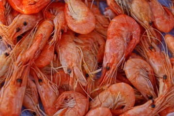 natural red texture of a heap of boiled shrimps