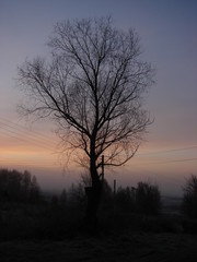 Fototapeta na wymiar Autumn dawn