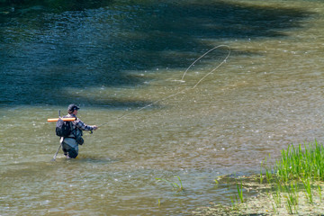 The fisherman catches fish by fly fishing