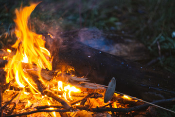 fire