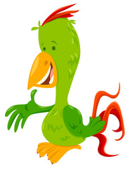 funny parrot bird cartoon animal character