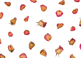 Dried roses and petals isolated on white background. Top view. Flat lay.