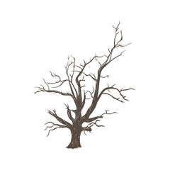 Dry wood tree. The dry old tree. Silhouette of a tree hand drawing. Tree sketch illustration