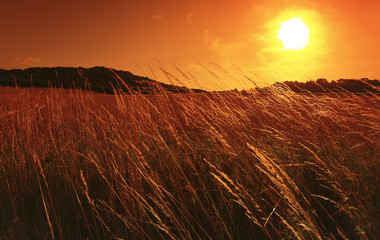 Panele Szklane  Wschód słońca w regionalnym parku przyrody Vexin