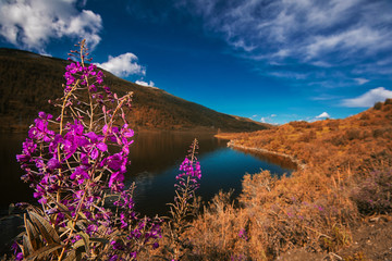 Naklejka premium Autumn lake in the Altai Mountains, Siberia