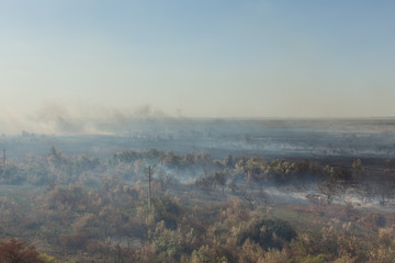 Forest fire. Burned trees after wildfire, pollution