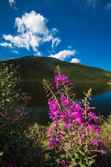 Naklejka premium Lake in the Altai Mountains, Siberia