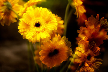 Yellow flower