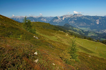 Fototapeta na wymiar Bergpanorama im Alpbachtal