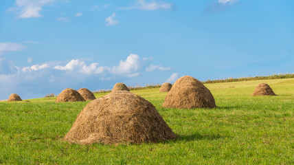 Traditional hay bales in September, green field blue sky background.