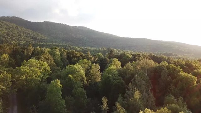 Aerial view of pyrenean forest filmed with drone, Aude in southern of France
