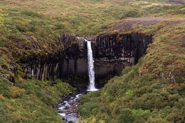 Fototapeta na wymiar Svartiffoss waterfall. Catarata de Svartiffoss en Islandia.