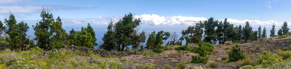 In den Bergen von La Palma - Kanarische Insel