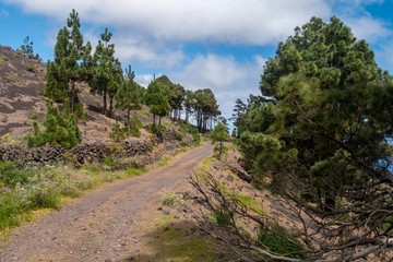 Fototapeta na wymiar In den Bergen von La Palma - Kanarische Insel