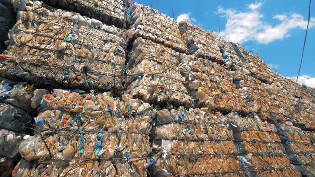 Lots of pressed plastic bottles at a dump, close up.