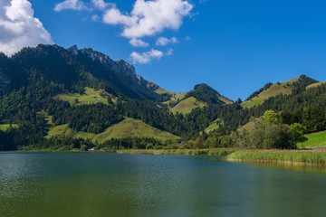 Fototapeta na wymiar Seelandschaft in den Schweizer Bergen