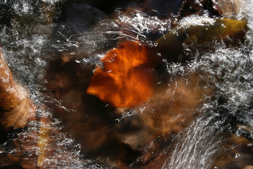 Autumn leaf in flowing water