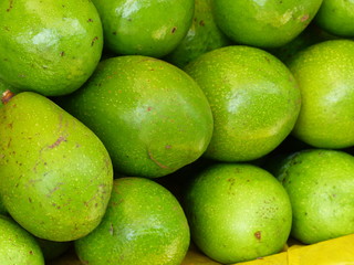Avocats