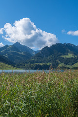 Idylle in der Natur - See mit Berge