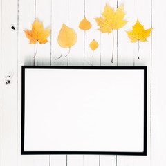 Autumn composition. Colorful leaves, front view of empty photo frame on white wooden rustic background. Autumn concept. Flat lay, top view, copy space 