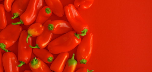 Red pepper on a red background. Flat lay, top view, copy space. banner 