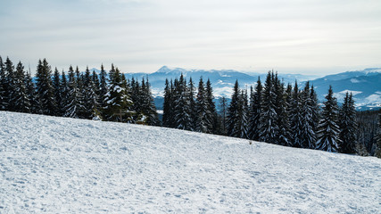 Fototapeta na wymiar Bukovel in the winter. Snow-capped mountain peaks. Ukrainian Carpathians.Mount Hoverla