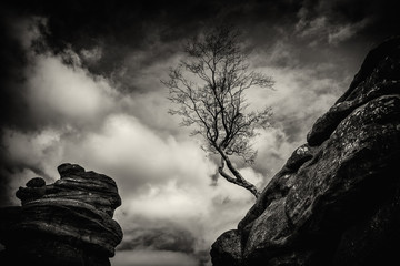 Brimham Rocks Mono