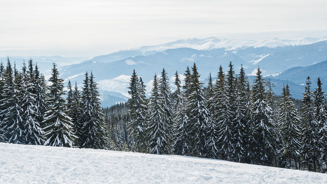 Bukovel in the winter. Snow-capped mountain peaks. Ukrainian Carpathians