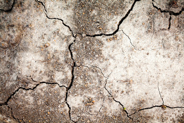 Obraz premium Dry drought land background. Cracked soil, hot climate dehydration concept