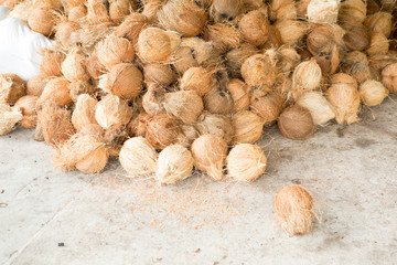 Coconut shells are placed on the floor.