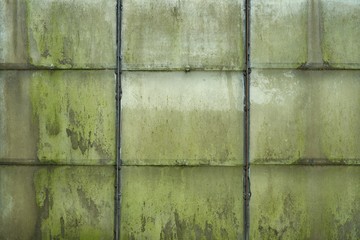 Glass facade of an abandoned old greenhouse, close-up.