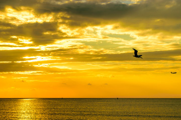 Fototapeta na wymiar A bird, a plane and two sailboats at sunset in Montego Bay.