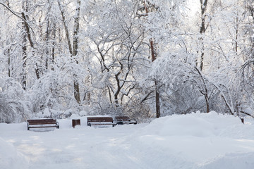 Fototapeta na wymiar Snow covered benches, bad weather concept. Beautiful snowfall winter park trees landscape