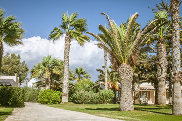 Fototapeta premium Cyprus