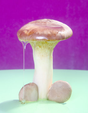 Naklejki Phallic Mushroom