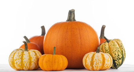 Various pumpkins on white