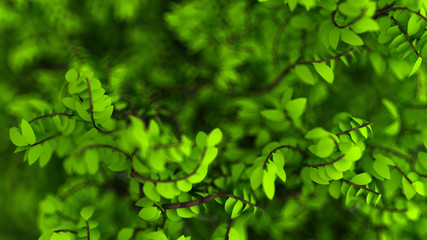 Fototapeta na wymiar Beautiful summer background with leaves. 3d illustration, 3d rendering.