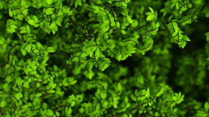 Beautiful summer background with leaves. 3d illustration, 3d rendering.