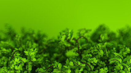 Fototapeta premium Beautiful summer background with leaves. 3d illustration, 3d rendering.