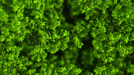 Beautiful summer background with leaves. 3d illustration, 3d rendering.