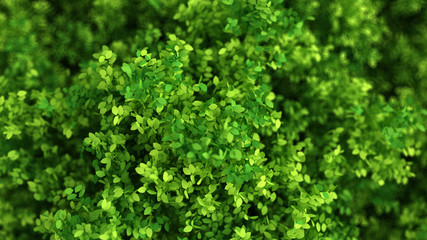 Beautiful summer background with leaves. 3d illustration, 3d rendering.