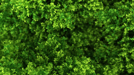 Beautiful summer background with leaves. 3d illustration, 3d rendering.