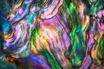 High magnification macro of nature texture pearl shell. Rainbow colors abstract background close-up.
